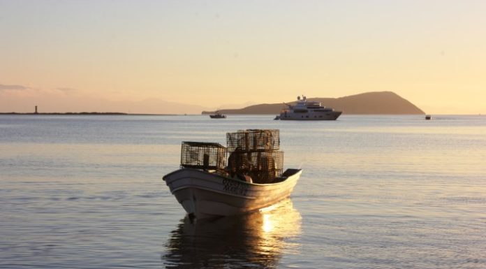 EN BREVE EL V FORO DE MANEJO PESQUERO SUSTENTABLE