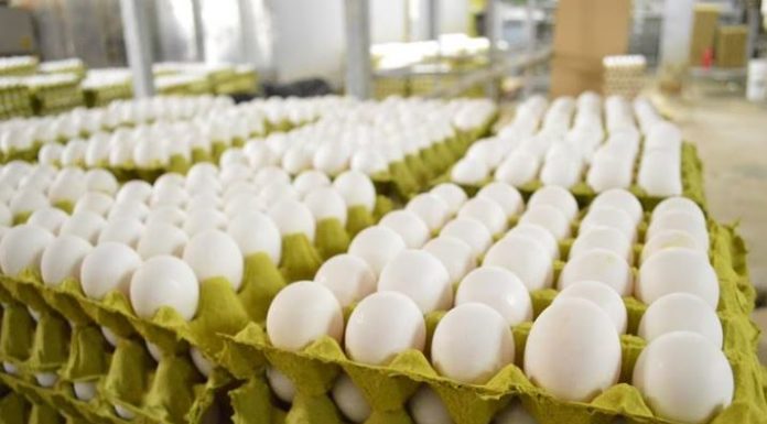 Asegura gobierno del estado la calidad de carne y huevo consumido en BC