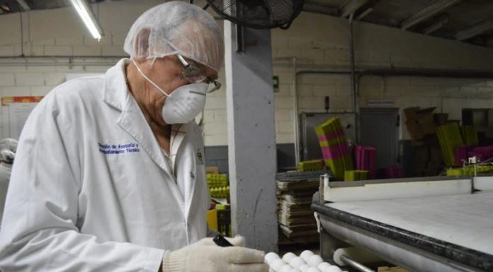 Resaltan la importancia de clasificar huevo en BC