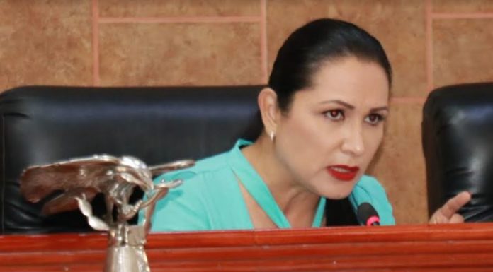Insta diputada Aracely Geraldo a titular de educación atienda demanda de maestros