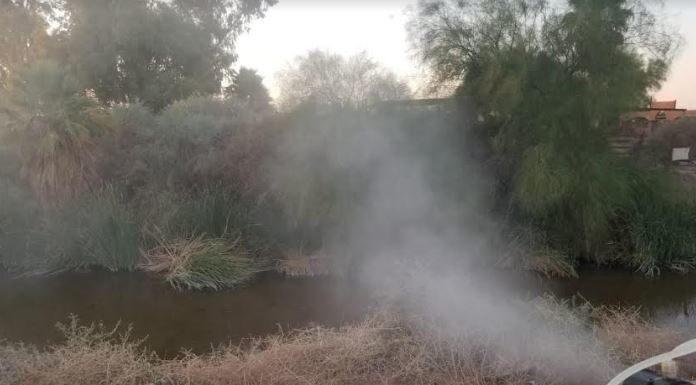 Se realizarán trabajos de nebulización para el control del mosquito Culex