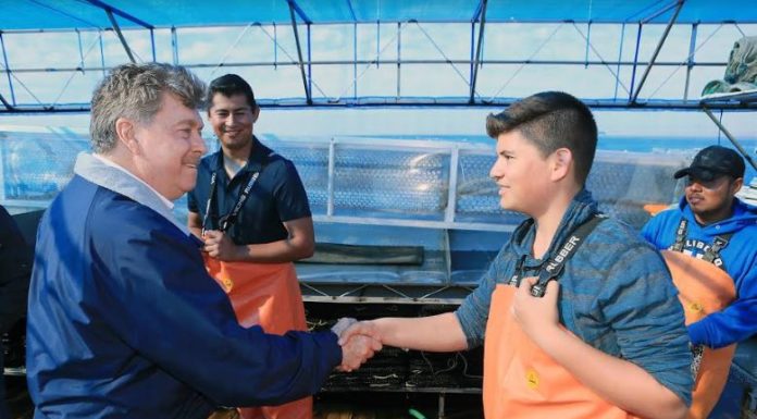 Durante el presente gobierno se modernizó el 90% de embarcaciones para pesca ribereña