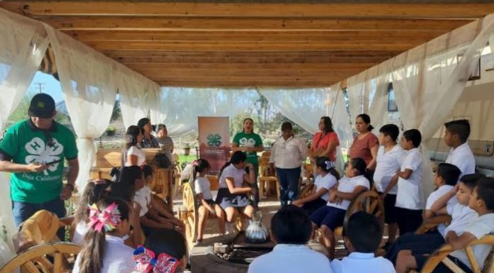 Impulsa Gobierno del Estado el relevo generacional en el sector agropecuario a través del Club 4-H BC