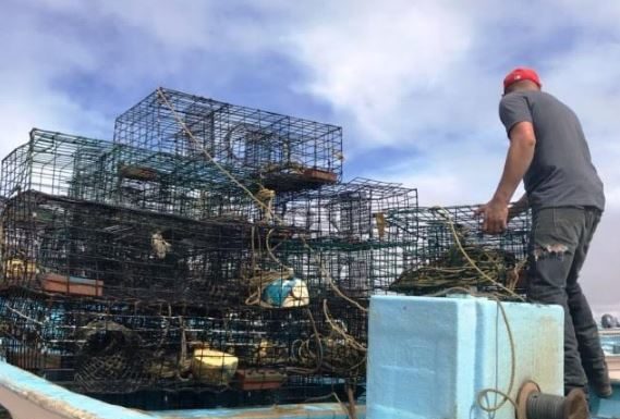 Llamado para consolidar la “Pesca Sustentable de Langosta’’