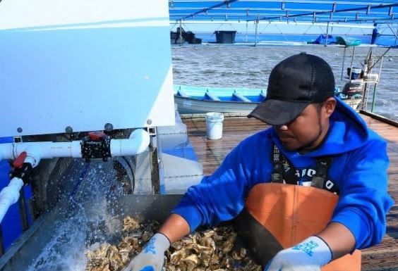 Mostrará Foro Acuícola Baja, liderazgo regional en el cultivo de especies marinas