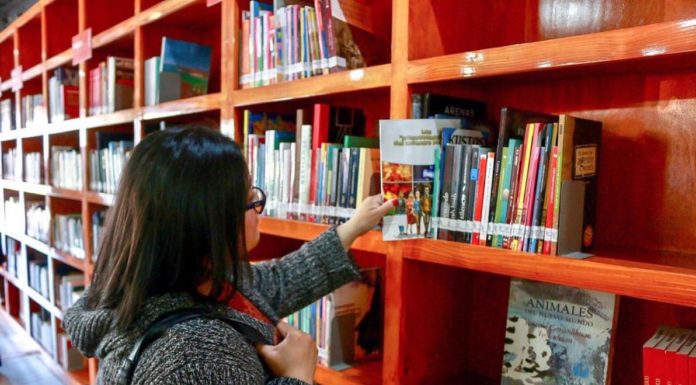 CUENTA ENSENADA CON BIBLIOTECA MODELO