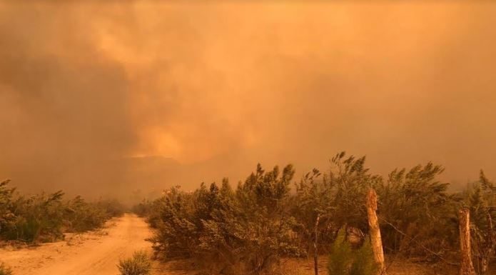 En Pre Alerta Gobierno de Ensenada por vientos de Santa Ana