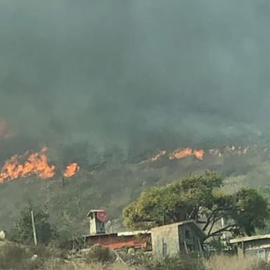 Lamenta presidente Armando Ayala fallecimiento de una persona por causas de incendio forestal