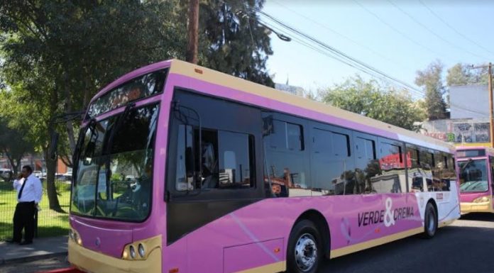 Contará Tijuana con sistema de transporte “Línea Rosa’’ para niñas, adolescentes y mujeres