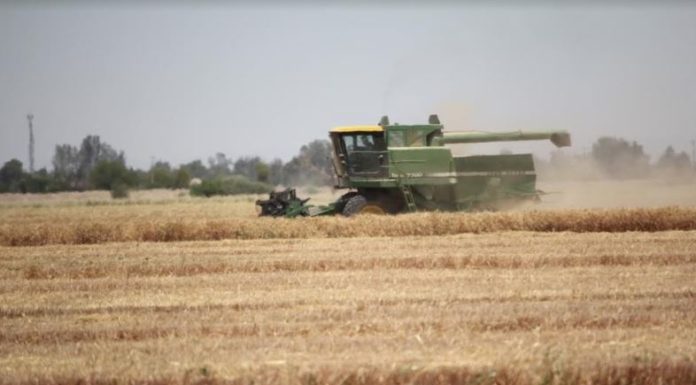 Reactivar el sector agropecuario con esquemas de financiamiento