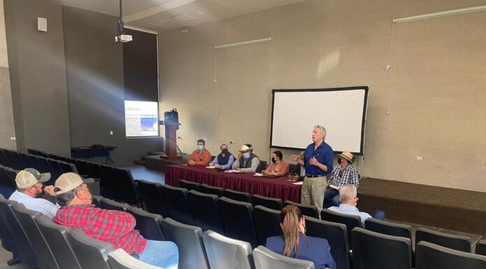 ACUERDAN PRECIO BASE PARA PRODUCTORES DE TRIGO EN EL VALLE DE MEXICALI