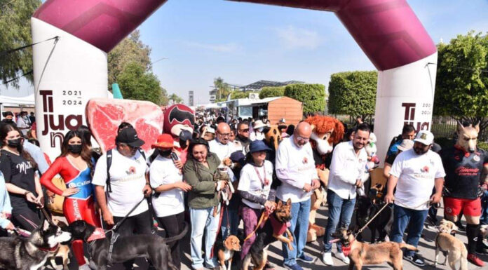 MÁS DE 500 ANIMALITOS PARTICIPARON EN LA «PRIMERA FERIA DE LAS MASCOTAS»
