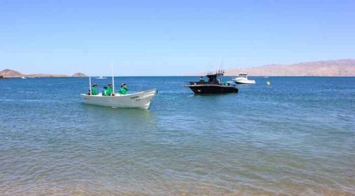 REPARTIRÁ LA “COPA BAJA CALIFORNIA” DE PESCA DEPORTIVA MÁS DE 1 MDP EN PREMIOS
