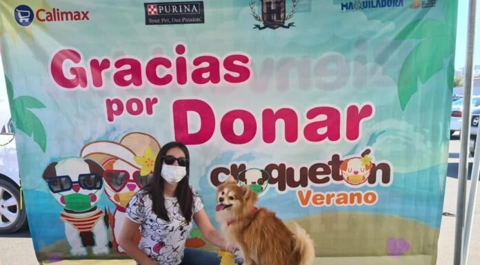 APOYAN A ALBERGUES DE PERROS Y GATOS A TRAVÉS DEL «CROQUETÓN»