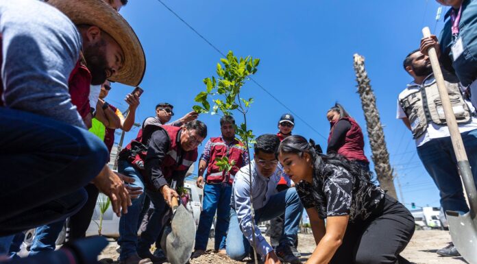CUMPLE ALCALDESA COMPROMISO AL PLANTAR 50 MIL ARBOLES A MENOS DE UN AÑO DE GOBIERNO