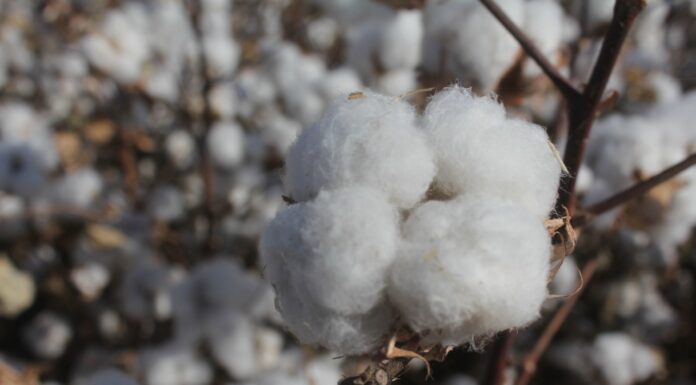 ABIERTAS LAS INSCRIPCIONES AL PROGRAMA DE ACCESO AL FINANCIAMIENTO Y SANEAMIENTO FINANCIERO