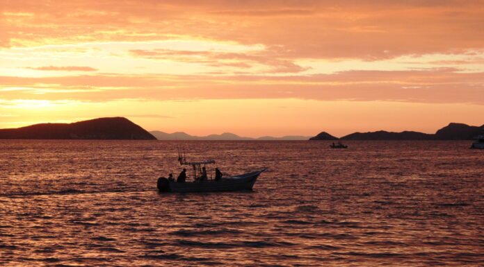 13 MDP DESTINADOS A LA PROMOCIÓN DE PROGRAMAS DE APOYO A PESCA Y ACUACULTURA EN BC