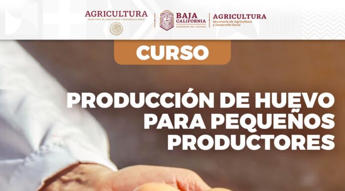 CAPACITARÁN A PEQUEÑOS PRODUCTORES DE HUEVO PARA PLATO EN SAN QUINTÍN Y MEXICALI