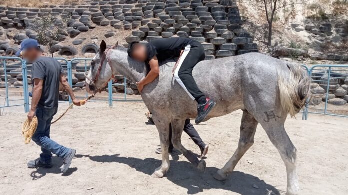 IMG-20230622-WA0155(1)