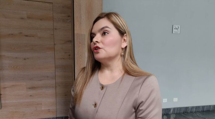 LA INSEGURIDAD YA ESTÁ CASTIGANDO AL PEQUEÑO COMERCIO: GINA VILLALOBOS