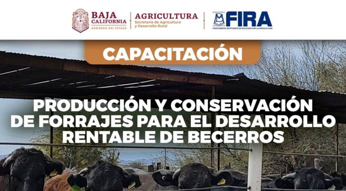 OFRECE SADERBC CAPACITACIÓN SOBRE LA PRODUCCIÓN Y CONSERVACIÓN DE FORRAJES