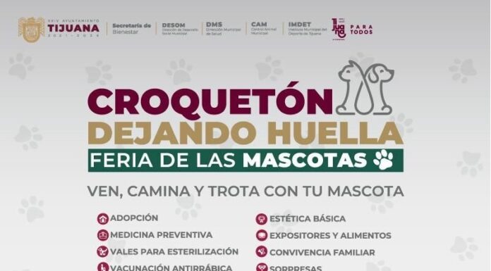 ORGANIZARÁ AYUNTAMIENTO CROQUETÓN PARA ANIMALES EN SITUACIÓN DE CALLE