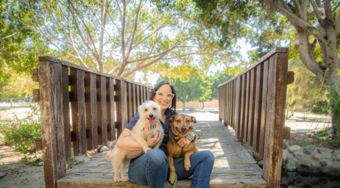 CONCIENTIZAN SOBRE RESPONSABILIDAD EN LA ADOPCIÓN DE ANIMALES DE COMPAÑÍA