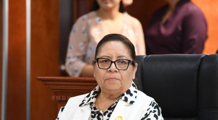 PROPONEN INICIATIVA QUE FAVORECERÁ A PADRES SOLTEROS