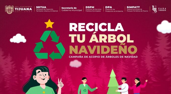 HABILITAN 19 CENTROS DE ACOPIO PARA RECIBIR ÁRBOLES NAVIDEÑOS EN TIJUANA