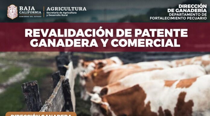 INVITAN A REVALIDAR PATENTE GANADERA Y COMERCIAL 2024