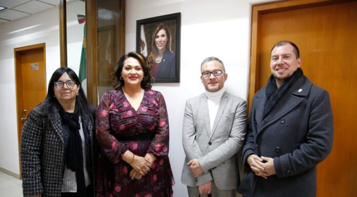 CREAN SUBSECRETARÍAS DE CULTURA COMUNITARIA Y DESARROLLO CULTURAL