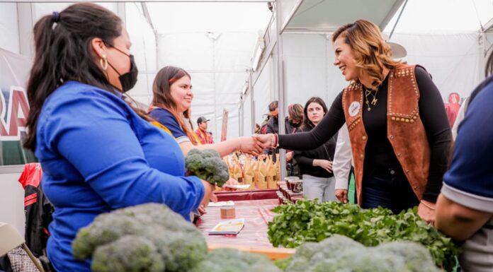 IMPULSAN DE NUEVA CUENTA EL PROGRAMA 50 Y MÁS PARA MUJERES EMPRENDEDORAS