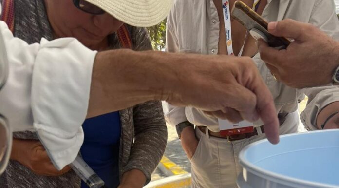 DONA CLUB ROTARIO DE TIJUANA FILTROS DE AGUA COMUNIDADES VULNERABLES