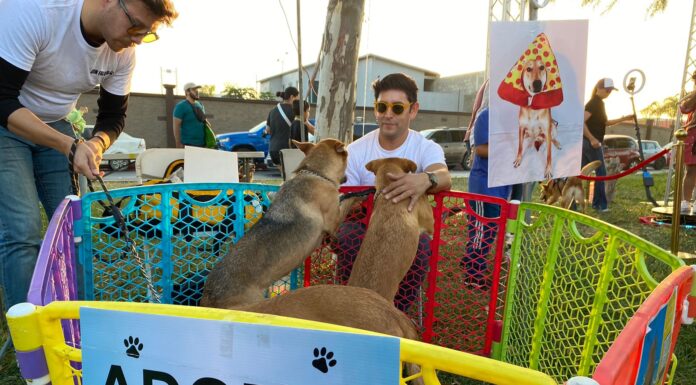 LA FERIA DE MASCOTAS NEÓN CONVÓ A CIENTOS DE PERSONAS EN GLORIETA PASEO DEL RÍO