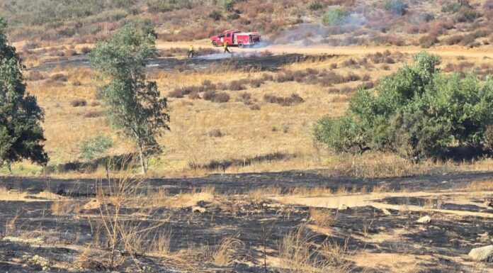 ATIENDEN INCENDIO FORESTAL EN RANCHO «EL EUCALIPTO» EN TECATE