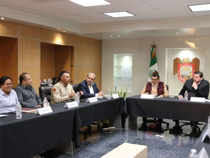 WhatsApp Image 2024-11-18 at 10.21.57 AM