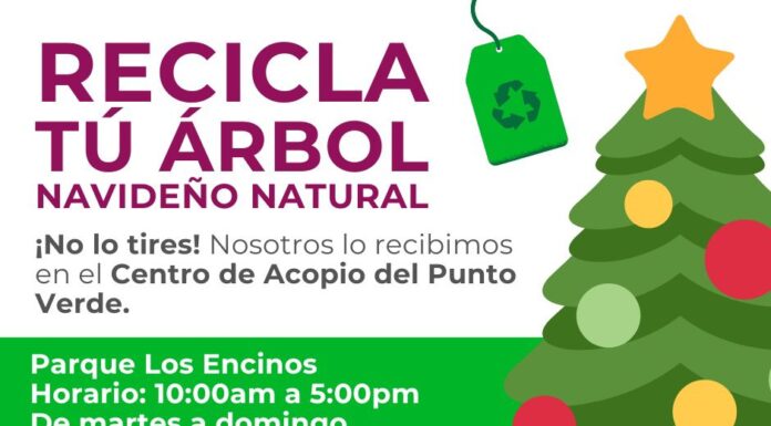 INICIA PROGRAMA DE RECICLAJE DE ÁRBOLES NAVIDEÑOS EN TECATE