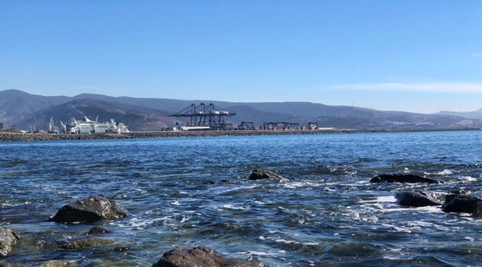 SON PLAYAS DE ENSENADA APTAS PARA USO RECREATIVO: CLAUDIA AGATÓN