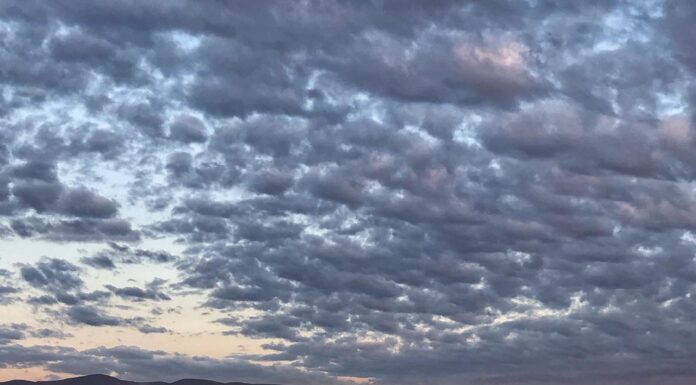 PREVIENEN SOSBRE BAJAS TEMPERATURAS EN ENSENADA