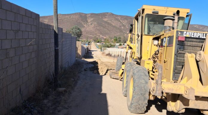 REHABILITAN TERRACERÍA EN EL VALLE DE GUADALUPE