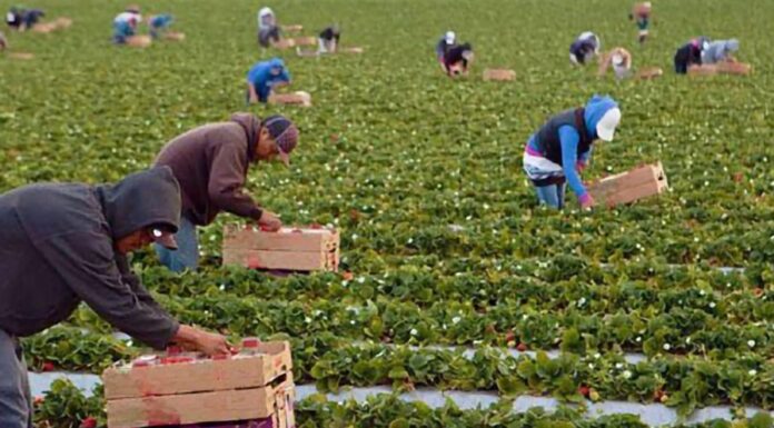 BUSCA EMPRESA BAJACALIFORNIANA ACUERDOS LABORALES SOSTENIBLES