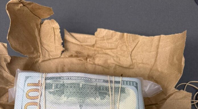 DETECTA CBP 44 MIL DÓLARES ESCONDIDOS DENTRO DE UNA BOLSA DE COMIDA