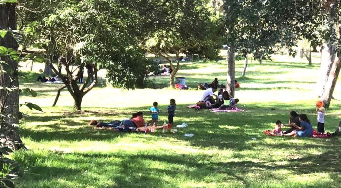 LLEGA EL PARQUE MORELOS A SU 38 ANIVERSARIO
