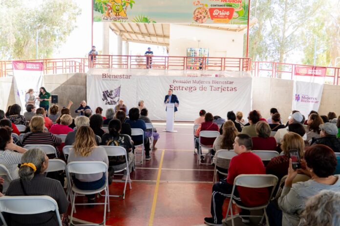 WhatsApp Image 2025-02-07 at 5.32.13 PM