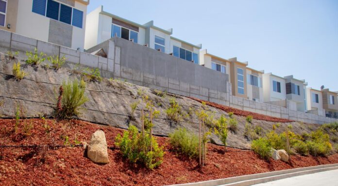PROPONEN INFRAESTRUCTURA VERDE COMO ESTRATEGIA URBANA DE TIJUANA DESIGN WEEK