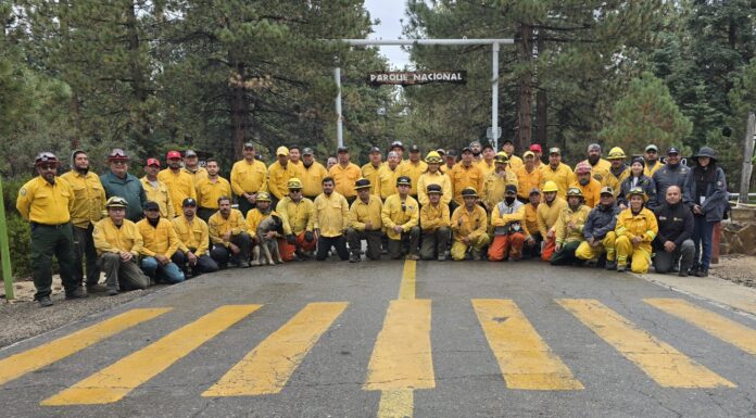 LIQUIDAN INCENDIOS DEL COMPLEJO SAN PEDRO MÁRTIR Y ROSA DE CASTILLA EN SIERRA DE JUÁREZ