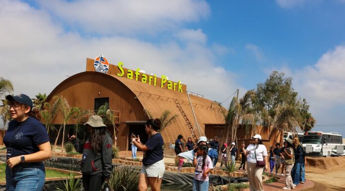 EL CENTRO RECREATIVO PAIPAI REFUERZA EDUCACIÓN, CONSERVACIÓN E INCLUSIÓN EN BC