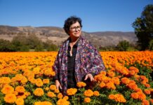 VISITA ALCALDESA DE ROSARITO LOS CAMPOS DE CENPASÚCHIL EN RANCHO MACÍAS