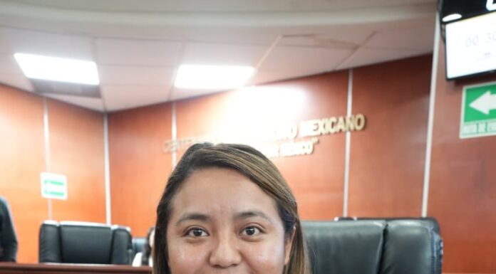 PROPONEN INCORPORAR FIGURA DE ‘DOLO EVENTUAL’ EN MATERIA PENAL POR DELITOS DE HOMICIDIO Y LESIONES