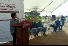 REFUERZAN ACCIONES DE PROTECCIÓN AMBIENTAL EN ROSARITO